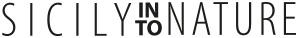 sinton-logo-text
