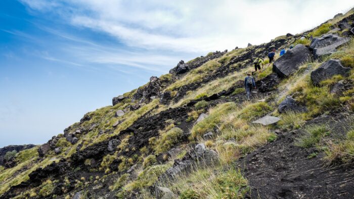 Way Up Trail - Image 8