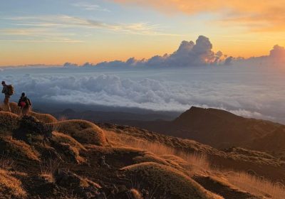 WayUp picture_16_9