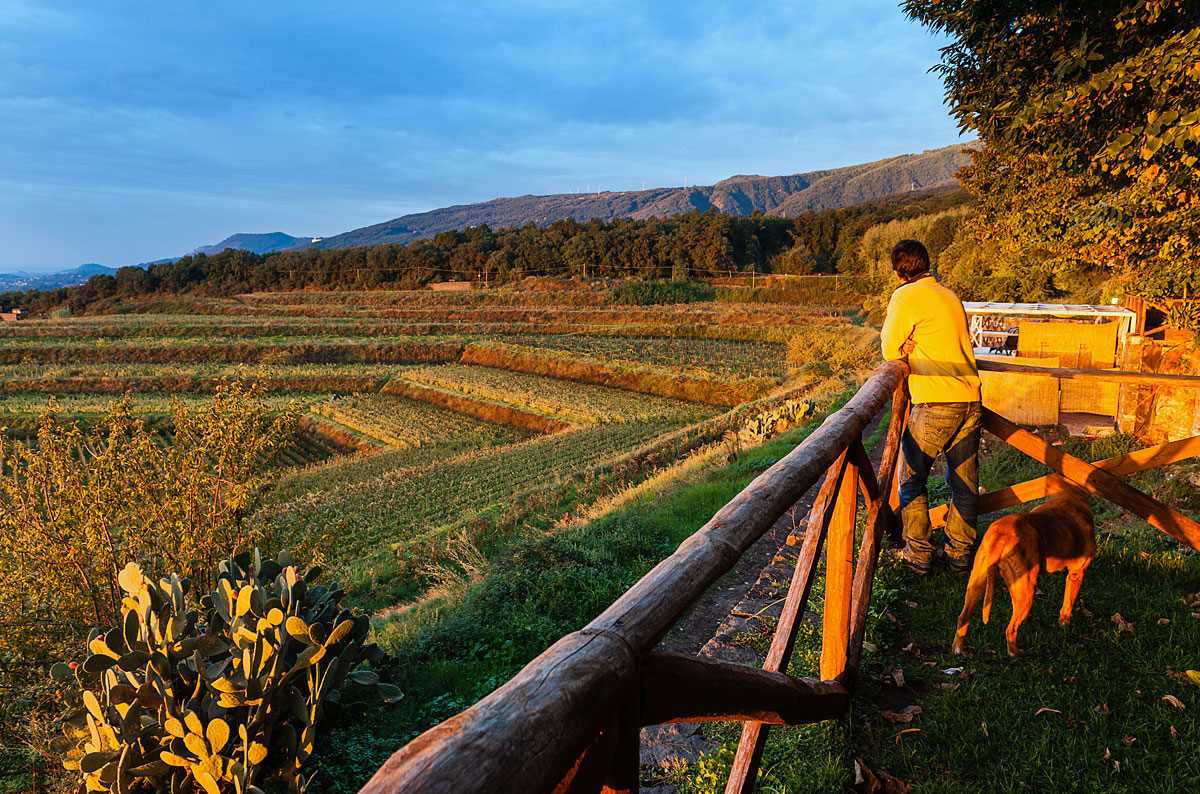 etna wine tour