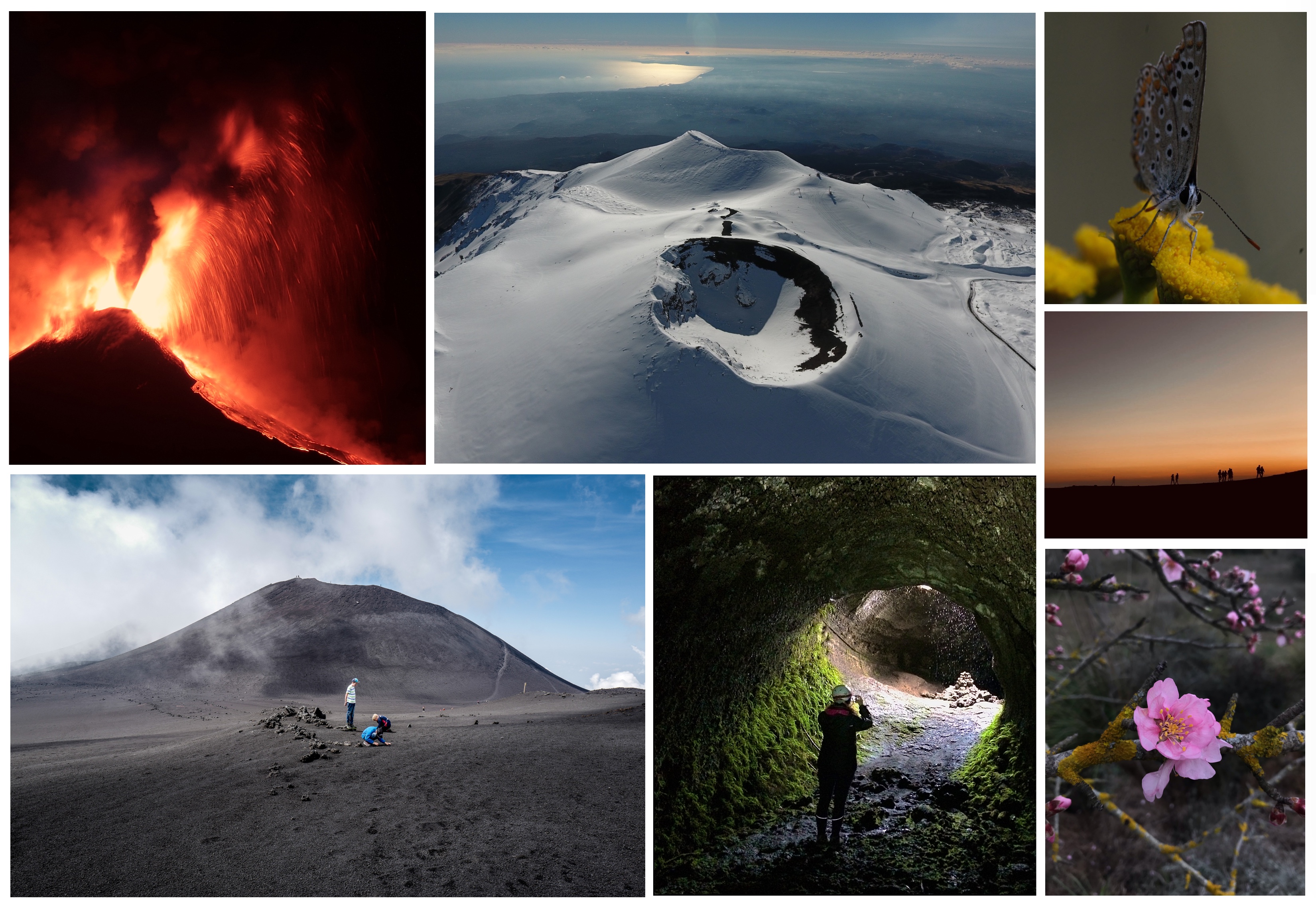 Bianco collage